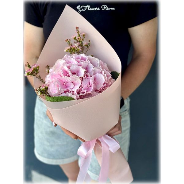 Bouquet of pink hydrangea