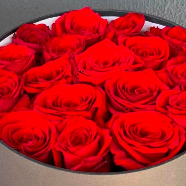 17 red roses in a gift box