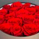 17 red roses in a gift box