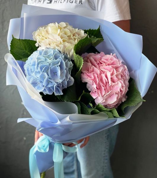 Bouquet of magical hydrangeas