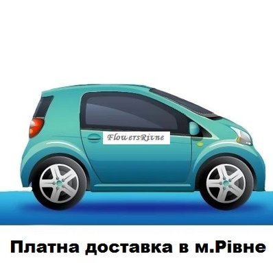 Paid delivery in Rivne