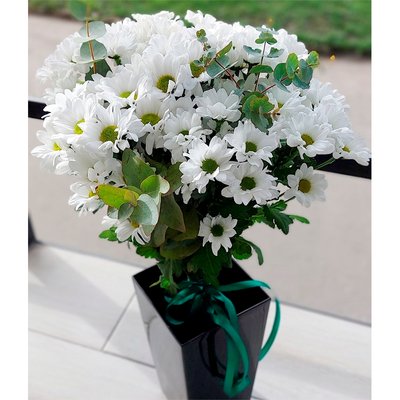 Bouquet of 7 white chrysanthemums