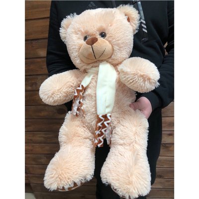 Soft toy Tymish Bear (B60)