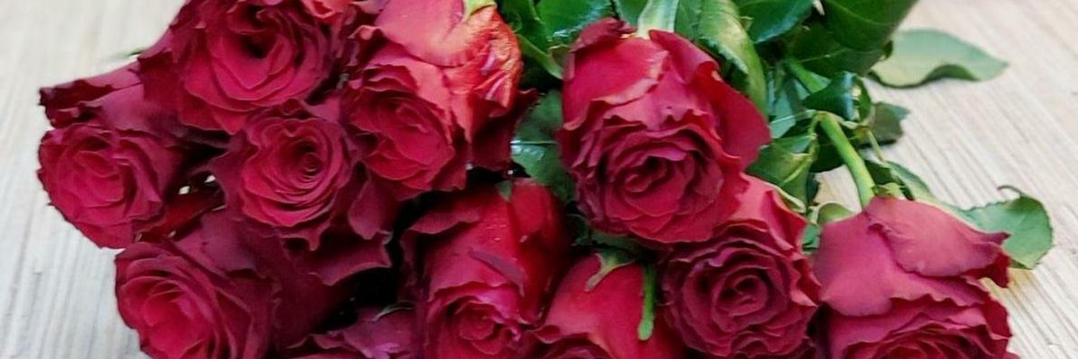 Догляд за букетом троянд, зрізаними трояндами фото