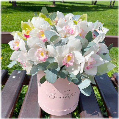 Delicate orchids in a gift box