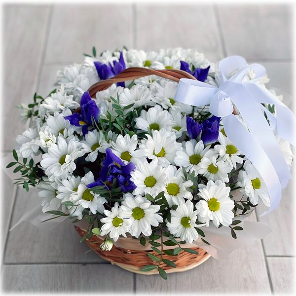 Basket of chamomile chrysanthemums